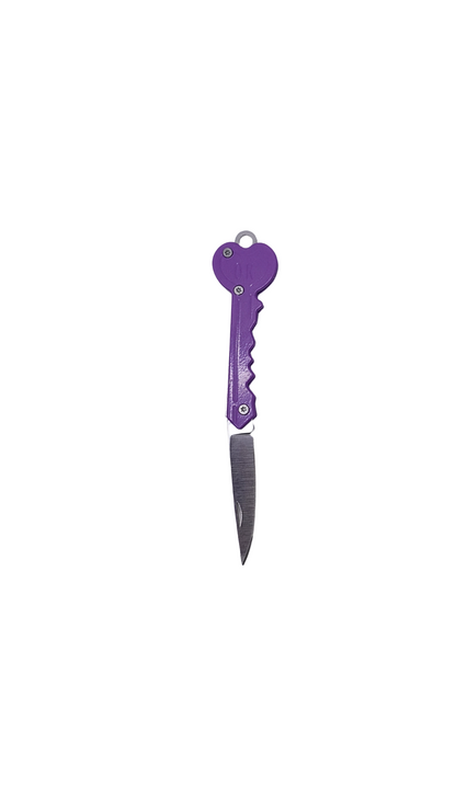 Heart Discreet Key